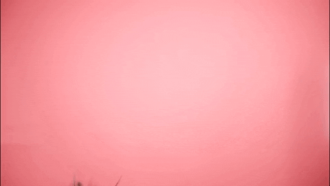 Pink Joker GIF by BDHCollective