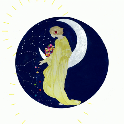 MoonshadowFest giphyupload moonshadow moonshadowfestival moonshadowfest GIF