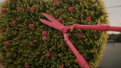 Valentines Day Romance GIF by JonTheProducer