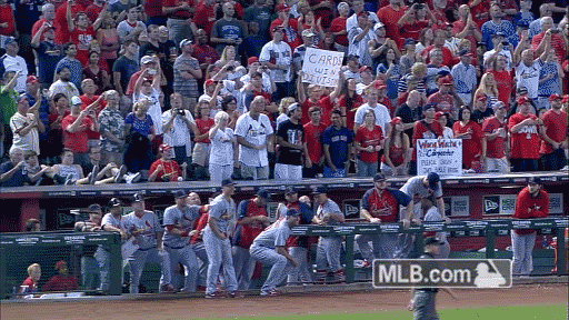 stl GIF by MLB