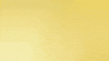 Come And Get Me Borussia Dortmund GIF by Bundesliga