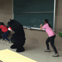 kumamon GIF