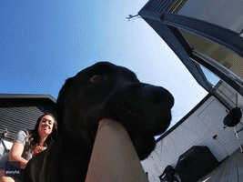 Dog Steals GoPro and Leads Owner on Backyard Chase