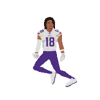 Minnesota Vikings Football Sticker by Panini America