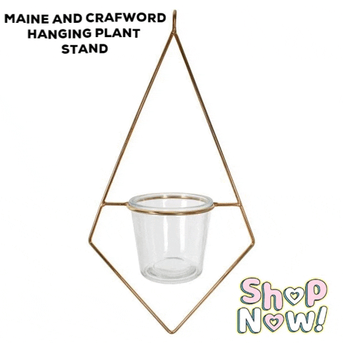 MaineandCrawford giphygifmaker giphyattribution plant pots hanging plant stand GIF