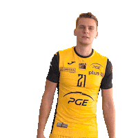 Belchatow Sticker by PGE Skra Bełchatów