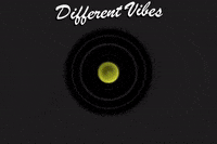 wesurfcamps surf camps we surf israel we surf camps we surf camps logo GIF