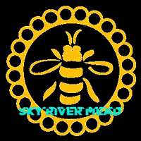 SkyRiverMead bee honeybee mead sweetwine GIF