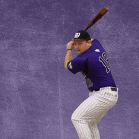 Baseball Wesleyan GIF by KWC Panthers