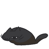 Black Cat Sticker by bunny_is_moving