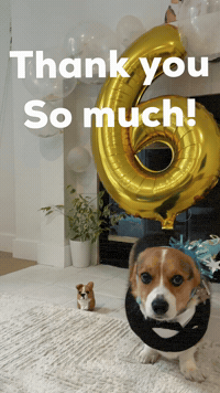 Thank You So Much Dog GIF