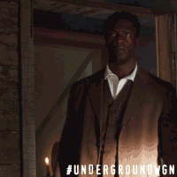 love GIF by Underground