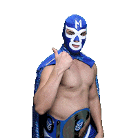 maskadorestacoshopaz wrestling wrestler lucha libre lucha Sticker