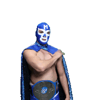maskadorestacoshopaz wrestling wrestler lucha libre lucha Sticker