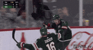 Ice Hockey Sport GIF by NHL