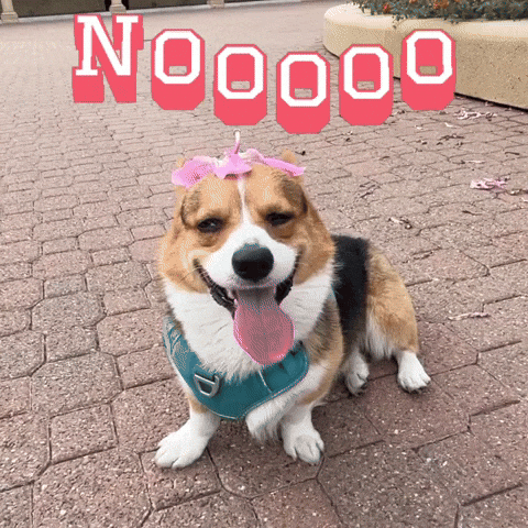 Milo GIF