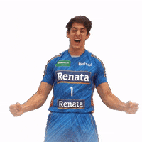 VoleiRenata volei torcida voleirenata GIF