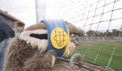 Anteaters GIF by UCI Athletics