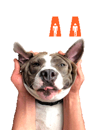Sticker by Fitkafa