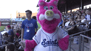 StPaulSaints mascot st paul saints fun is good stpaulsaints GIF