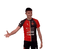 Shake Hands Peace Sticker by Volley Treviso