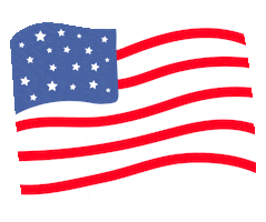 Usa Flag Sticker by Iris Tattoo