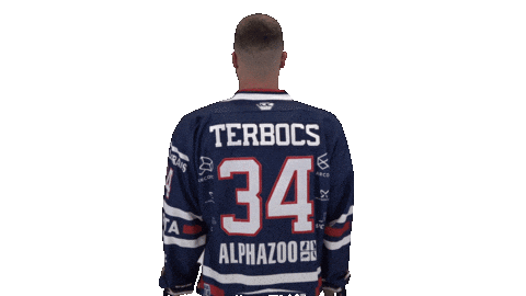 Ice Hockey Sport Sticker by Fehervar AV19