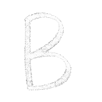 Animation Text Sticker