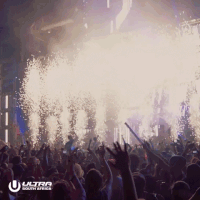 GIF by Ultra Music Festival