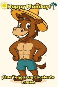 Beach Sanchito GIF by Mr. Sancho's Cozumel