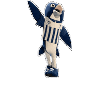 Pescara Calcio Ciuffo Sticker by Ondesonore Records