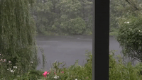 'Crazy Weather' Scares Birds as Heavy Rain and Lightning Reported in Natick