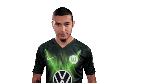 Soccer Instagram Sticker by VfL Wolfsburg