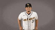 Baseball Calstatela GIF by Cal State LA Golden Eagles