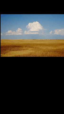 Simongip giphyupload GIF