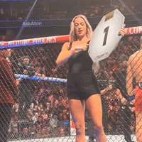 Fun Summer GIF