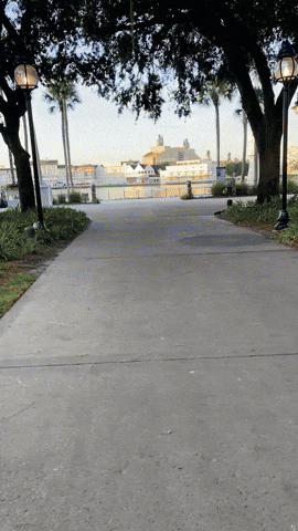 kellytraceygagnon giphyupload GIF