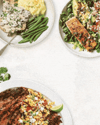 GIF by Peace Love and Low Carb