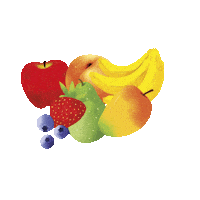 On The Go Snacks Sticker by Buddy Fruits