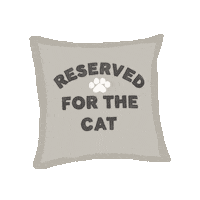 Cat Sleeping Sticker