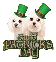 St Patricks Day Dog Sticker by HammyandBrody