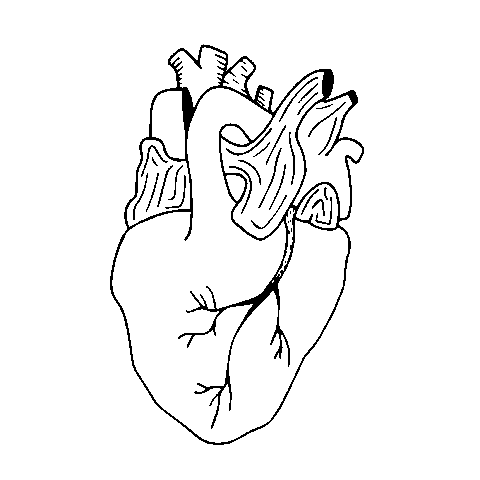 vvvioleta giphyupload heart corazon blackheart Sticker