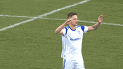 Football Soccer GIF by FC Schalke 04