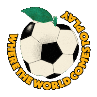 Big Apple Football Sticker by NYC Tourism