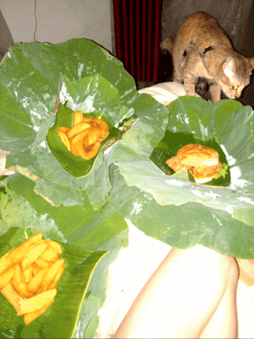 Delivery Cambodia GIF by ellaknor