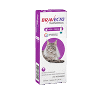 msdfamiliapet bravecto Sticker