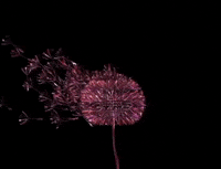 lucaionescuart animation nft free organic GIF