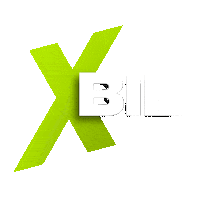 xbilsuomi x xteam xbil xtiimi Sticker