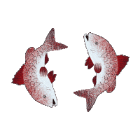 ZedenCider drink new zealand nz cider Sticker