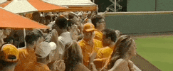 World Series Baseball GIF by NCAA Championships